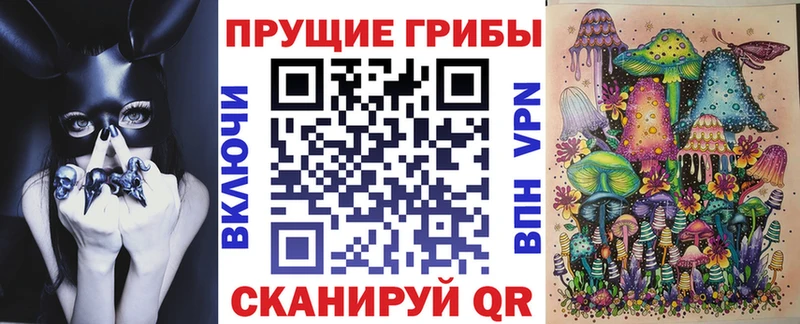 mega рабочий сайт  Катав-Ивановск  Галлюциногенные грибы Psilocybe  купить наркотики сайты 